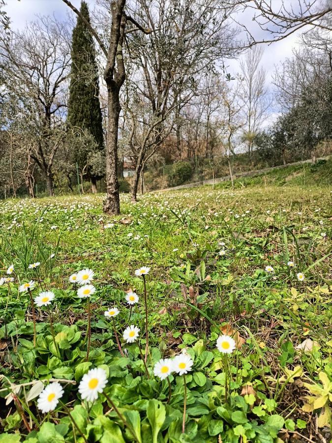 Locazione Turistica La Gesualda Apartamento Castelnuovo di Magra Exterior foto