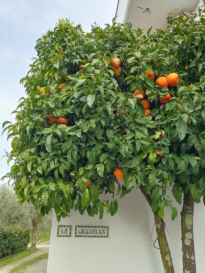 Locazione Turistica La Gesualda Apartamento Castelnuovo di Magra Exterior foto