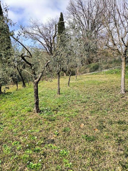 Locazione Turistica La Gesualda Apartamento Castelnuovo di Magra Exterior foto