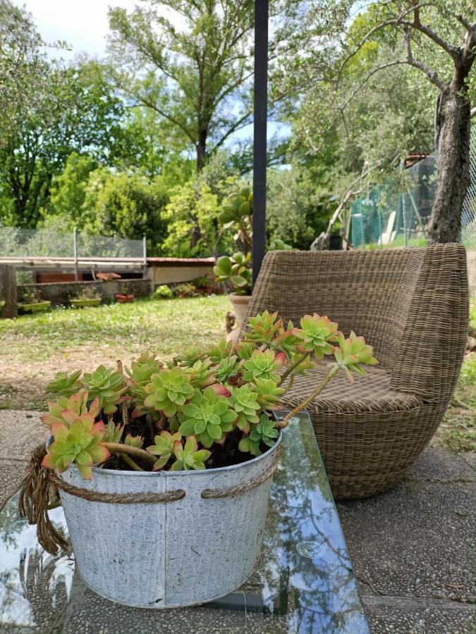 Locazione Turistica La Gesualda Apartamento Castelnuovo di Magra Exterior foto
