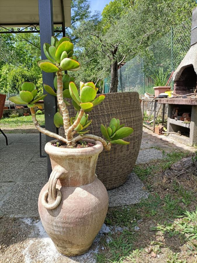 Locazione Turistica La Gesualda Apartamento Castelnuovo di Magra Exterior foto